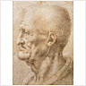 Profile of an Old Man