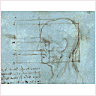 Proportions of the Head