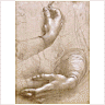 Study of Hands