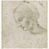 Study of a Woman's Head